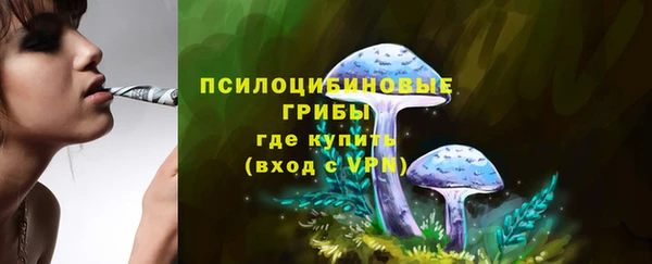 Альфа ПВП Беломорск