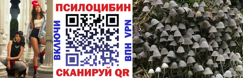 сколько стоит  нарко площадка Telegram  Галлюциногенные грибы Psilocybe  Короча  kraken сайт 